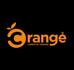 orange-logo